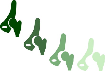 2007 logo 2